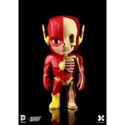 XXRAY The Flash 1