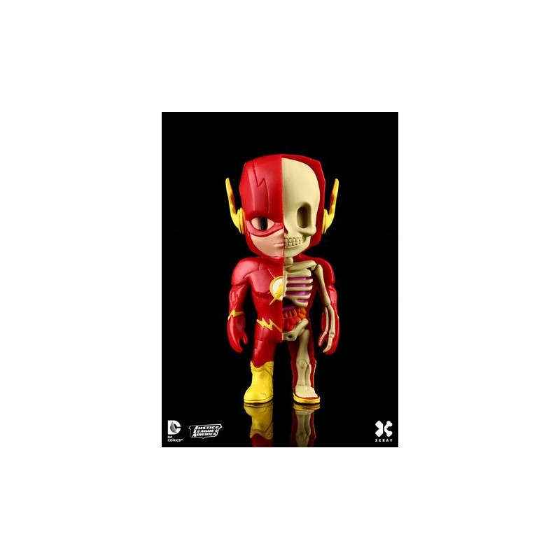 XXRAY The Flash 1