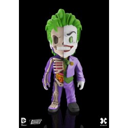 XXRAY Joker 1