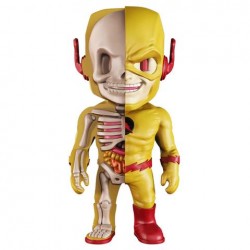 XXRAY Reverse Flash 1