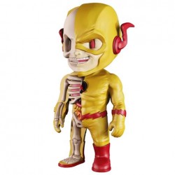 XXRAY Reverse Flash 4