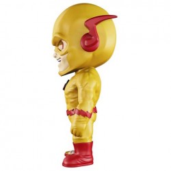 XXRAY Reverse Flash 6