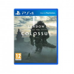 (PS4) Shadow of the Colossus (R3/ENG/CHN)